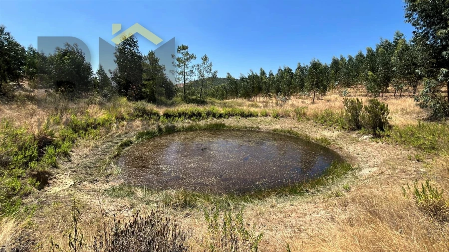 Quinta T0 para Venda em Ninho do Açor e Sobral do Campo Foto 14