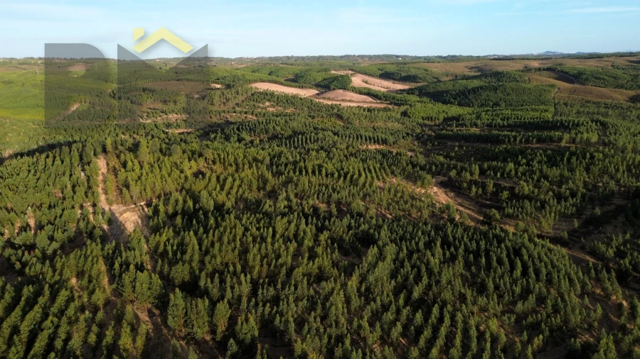 Quinta T0 para Venda em Ninho do Açor e Sobral do Campo Foto 7