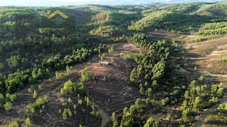 Quinta T0 para Venda em Ninho do Açor e Sobral do Campo Foto 11