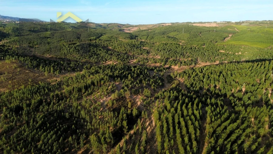 Quinta T0 para Venda em Ninho do Açor e Sobral do Campo Foto 1