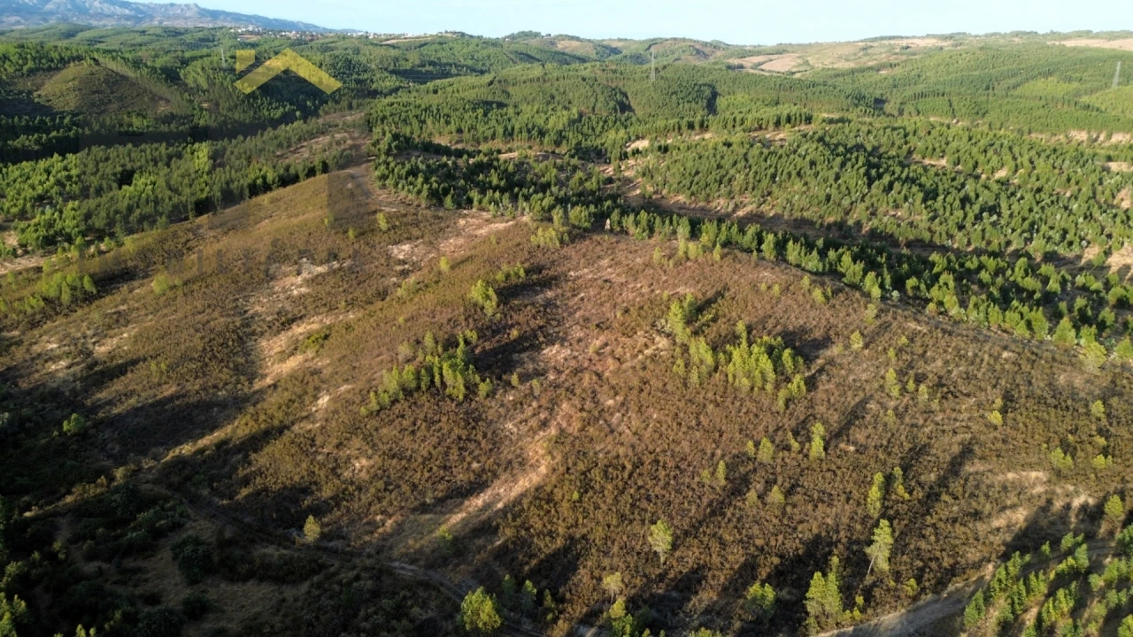 Quinta T0 para Venda em Ninho do Açor e Sobral do Campo Foto 10