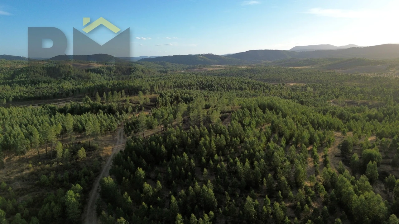 Quinta T0 para Venda em Ninho do Açor e Sobral do Campo Foto 5