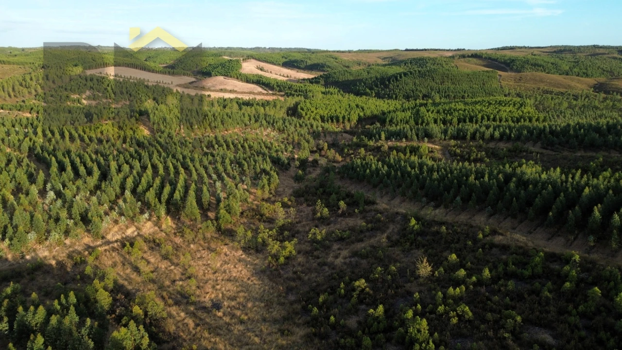 Quinta T0 para Venda em Ninho do Açor e Sobral do Campo Foto 4