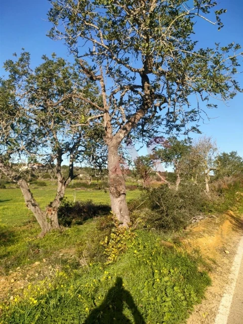 Terreno para Venda em Albufeira e Olhos de Água