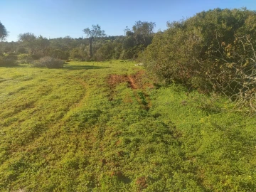 Terreno para Venda em Albufeira e Olhos de Água