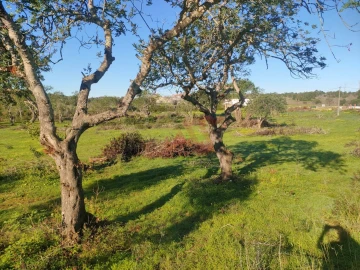 Terreno para Venda em Albufeira e Olhos de Água