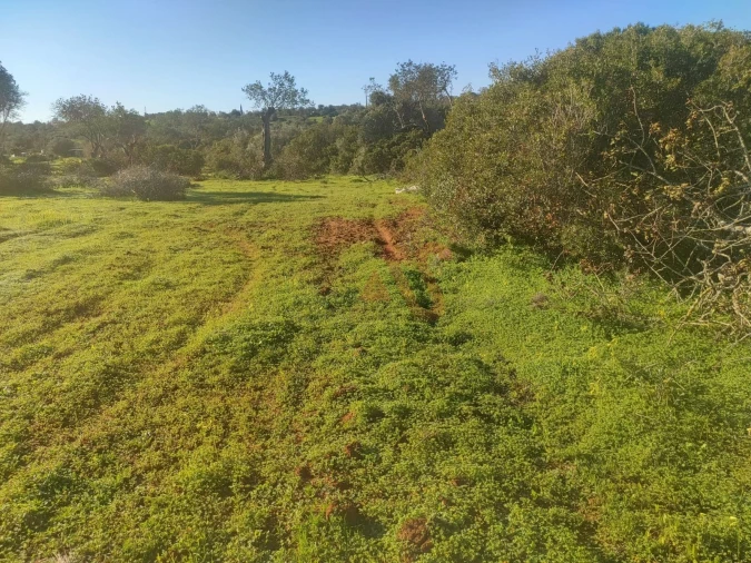 Terreno para Venda em Albufeira e Olhos de Água Foto 10