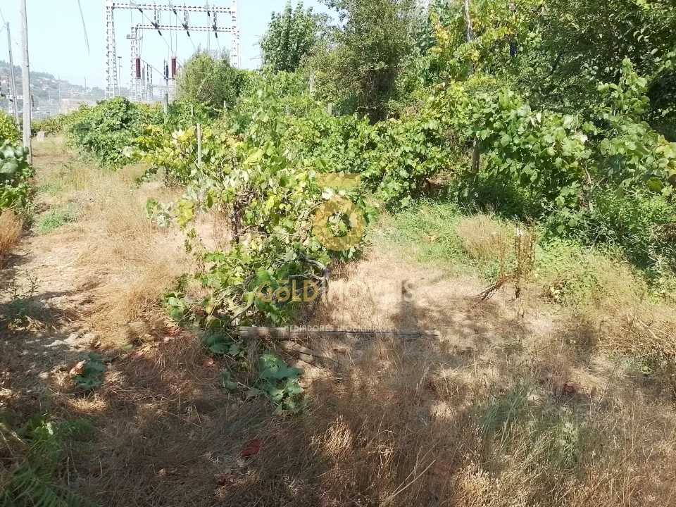 Terreno Agricola ou Rústico para Venda em São Cristovão de Nogueira Foto 2