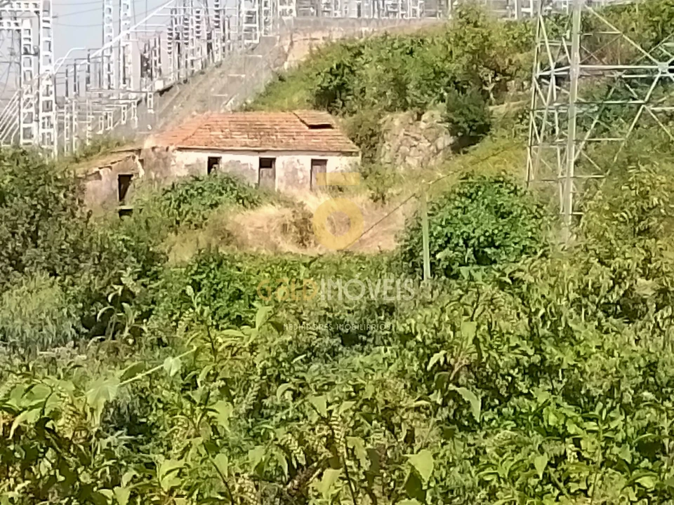 Terreno Agricola ou Rústico para Venda em São Cristovão de Nogueira Foto 5
