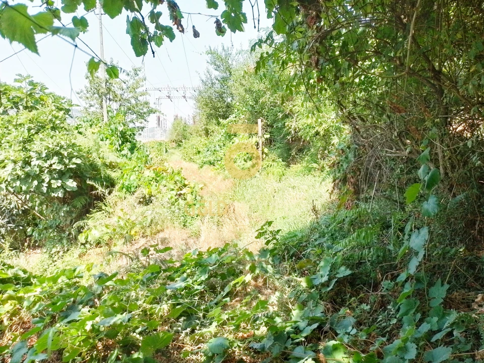 Terreno Agricola ou Rústico para Venda em São Cristovão de Nogueira Foto 4