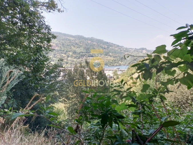 Terreno Agricola ou Rústico para Venda em São Cristovão de Nogueira Foto 9
