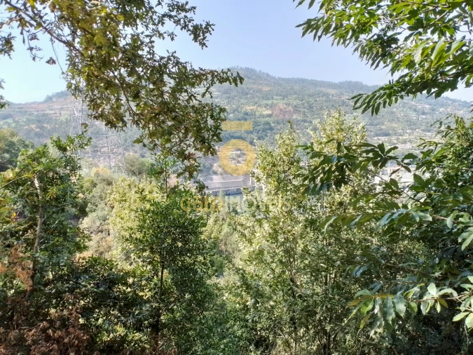 Terreno Agricola ou Rústico para Venda em São Cristovão de Nogueira Foto 8