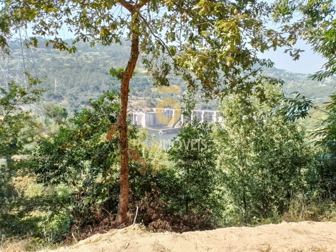Terreno Agricola ou Rústico para Venda em São Cristovão de Nogueira Foto 7