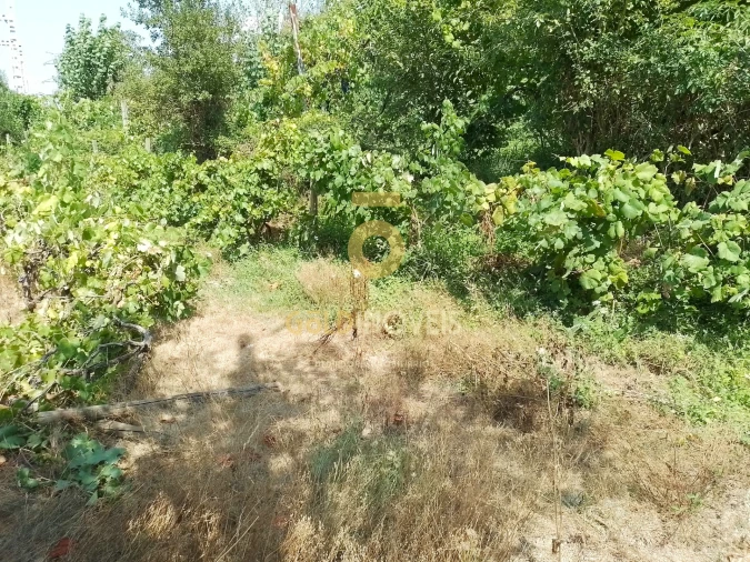 Terreno Agricola ou Rústico para Venda em São Cristovão de Nogueira