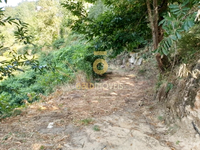 Terreno Agricola ou Rústico para Venda em São Cristovão de Nogueira Foto 6