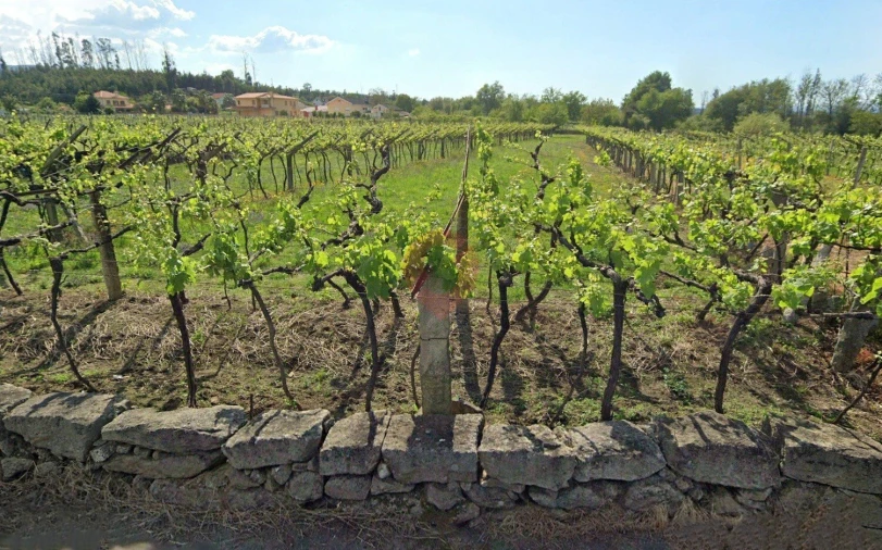 Terreno para Venda em Barbeita Foto 3
