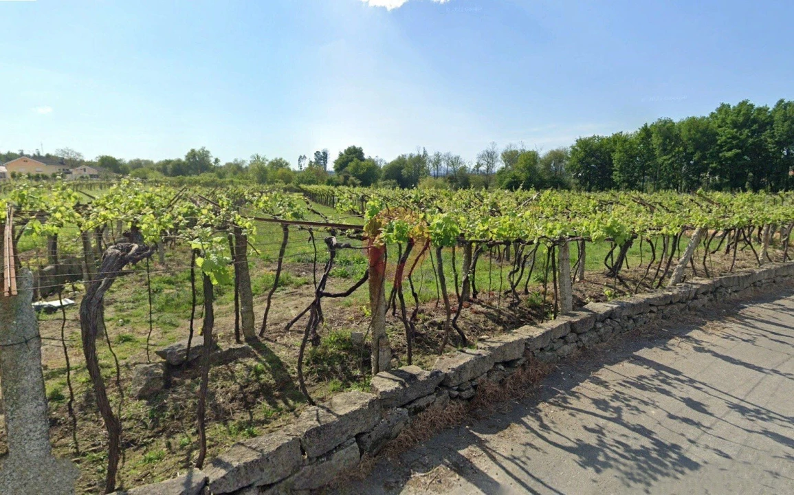 Terreno para Venda em Barbeita Foto 2