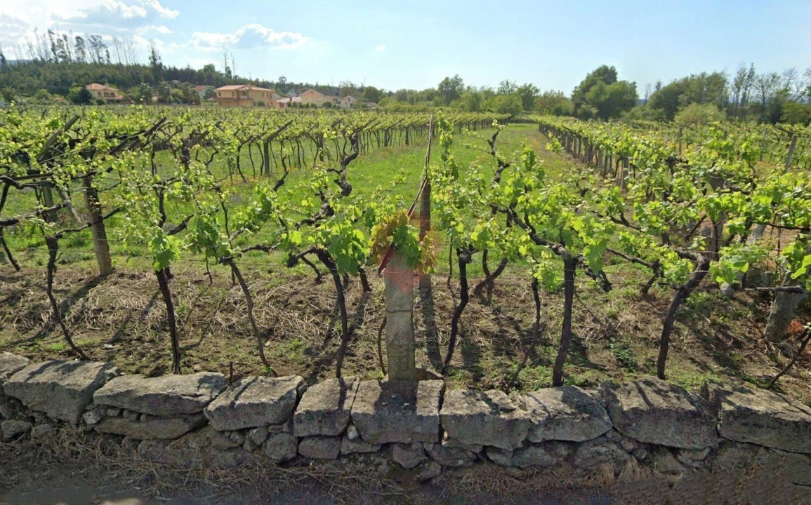 Terreno para Venda em Barbeita Foto 3