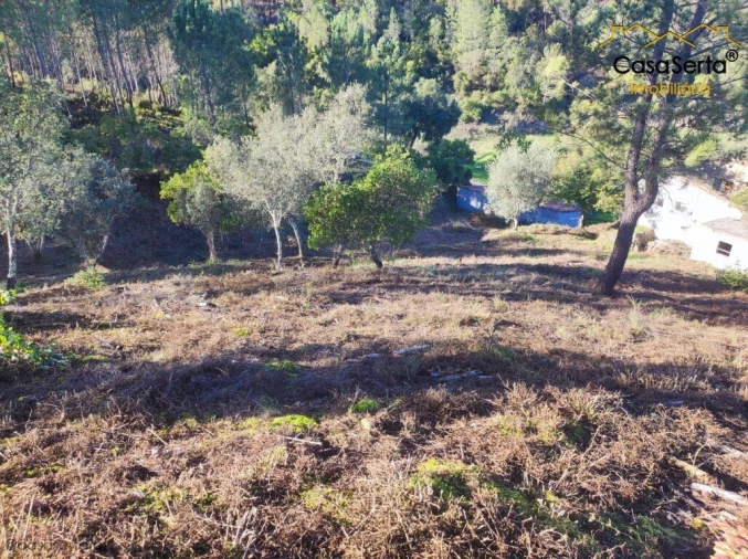 Quinta T2 para Venda em Sertã Foto 2