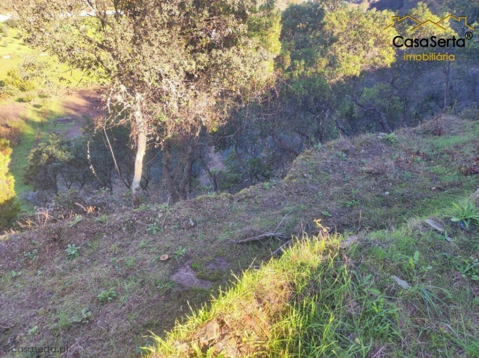 Quinta T2 para Venda em Sertã Foto 4