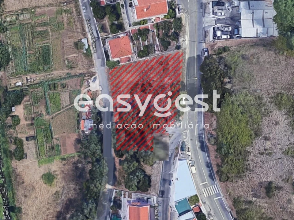 Terreno para Venda em Barcarena Foto 6