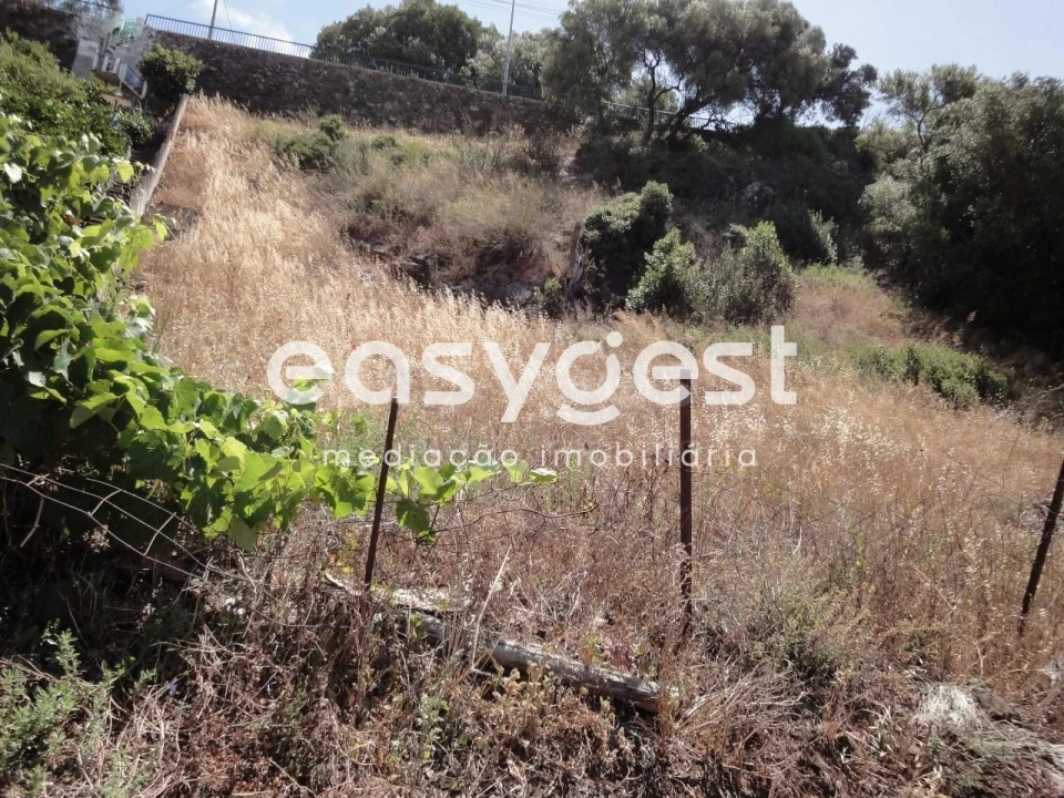 Terreno para Venda em Barcarena Foto 8