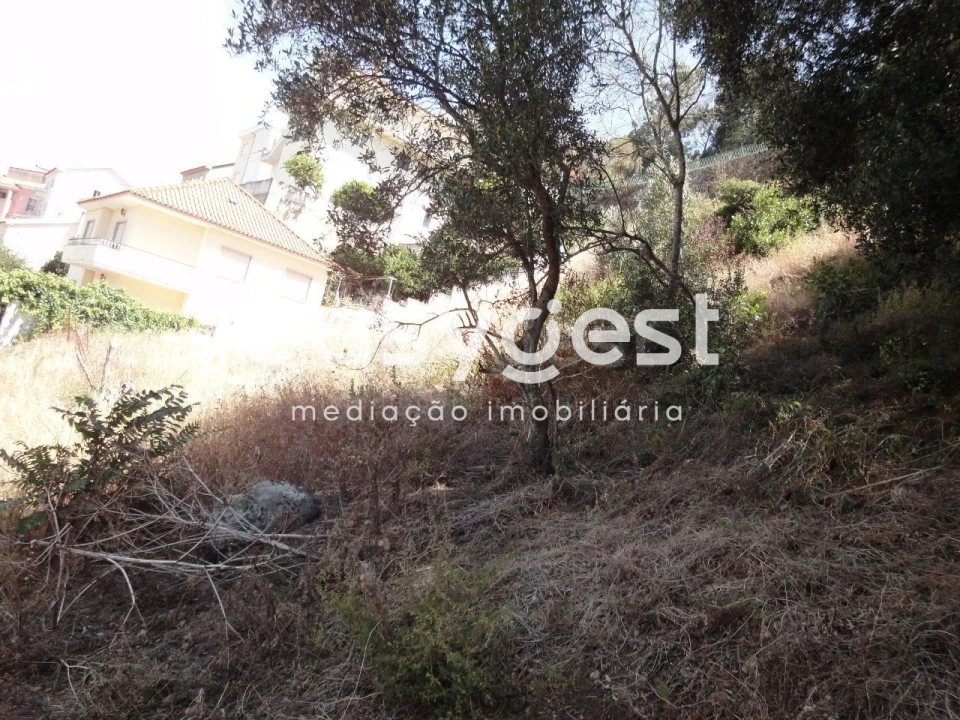 Terreno para Venda em Barcarena Foto 10
