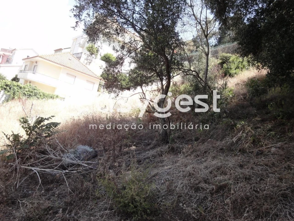 Terreno para Venda em Barcarena Foto 12