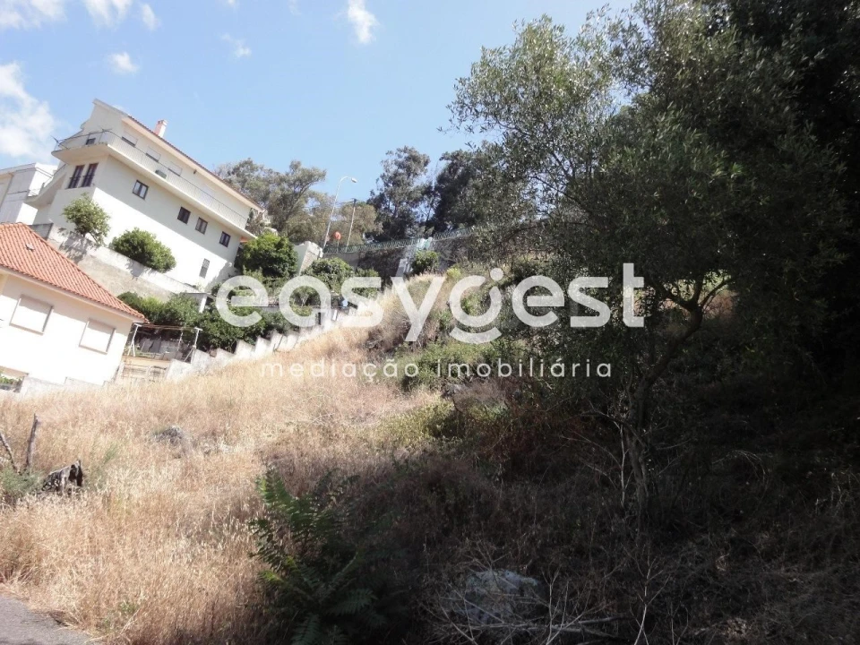 Terreno para Venda em Barcarena Foto 13