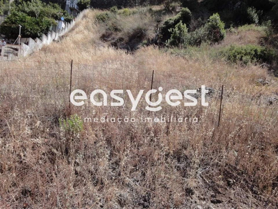 Terreno para Venda em Barcarena Foto 1