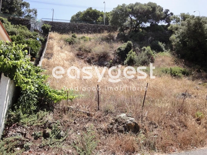 Terreno para Venda em Barcarena Foto 3