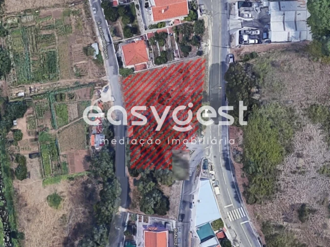 Terreno para Venda em Barcarena Foto 6