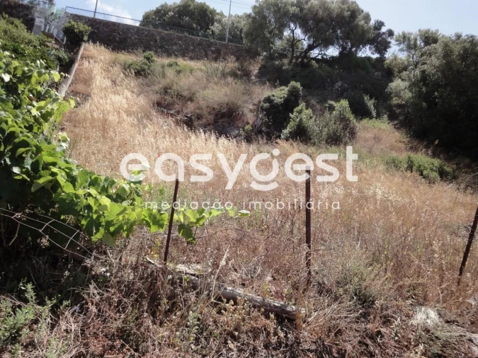 Terreno para Venda em Barcarena Foto 8