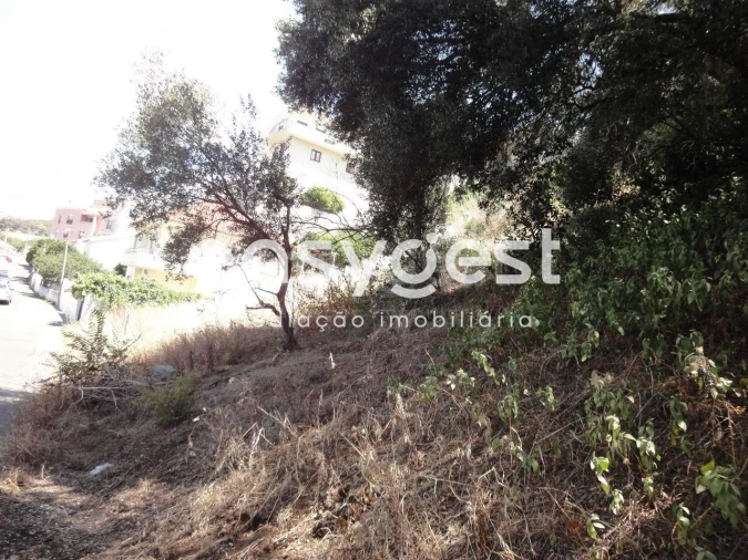 Terreno para Venda em Barcarena Foto 9