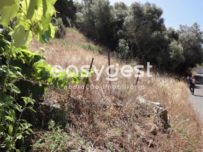 Terreno para Venda em Barcarena Foto 14