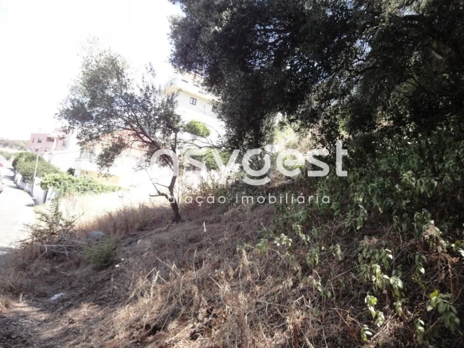 Terreno para Venda em Barcarena Foto 15