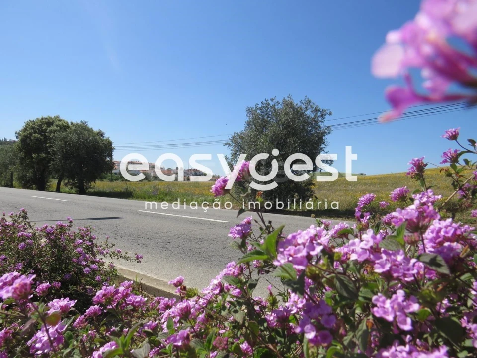 Terreno Agricola ou Rústico para Venda em Aljustrel e Rio de Moinhos Foto 3