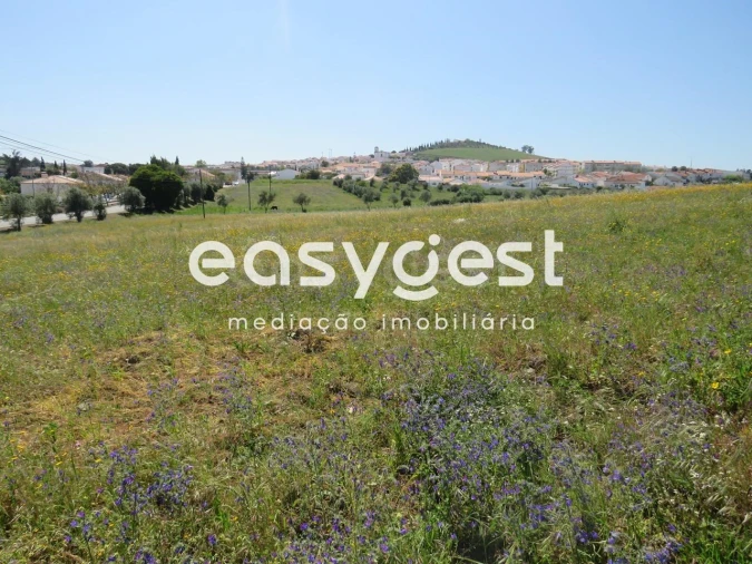 Terreno Agricola ou Rústico para Venda em Aljustrel e Rio de Moinhos Foto 2