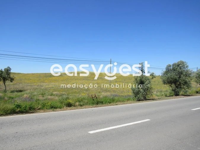 Terreno Agricola ou Rústico para Venda em Aljustrel e Rio de Moinhos Foto 5