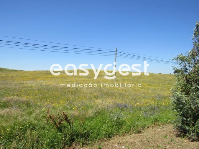 Terreno Agricola ou Rústico para Venda em Aljustrel e Rio de Moinhos Foto 6