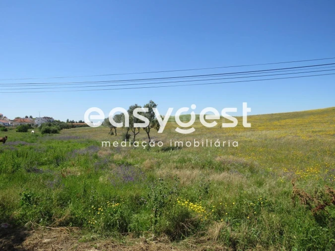 Terreno Agricola ou Rústico para Venda em Aljustrel e Rio de Moinhos Foto 12