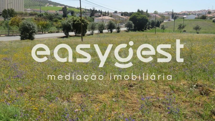 Terreno Agricola ou Rústico para Venda em Aljustrel e Rio de Moinhos