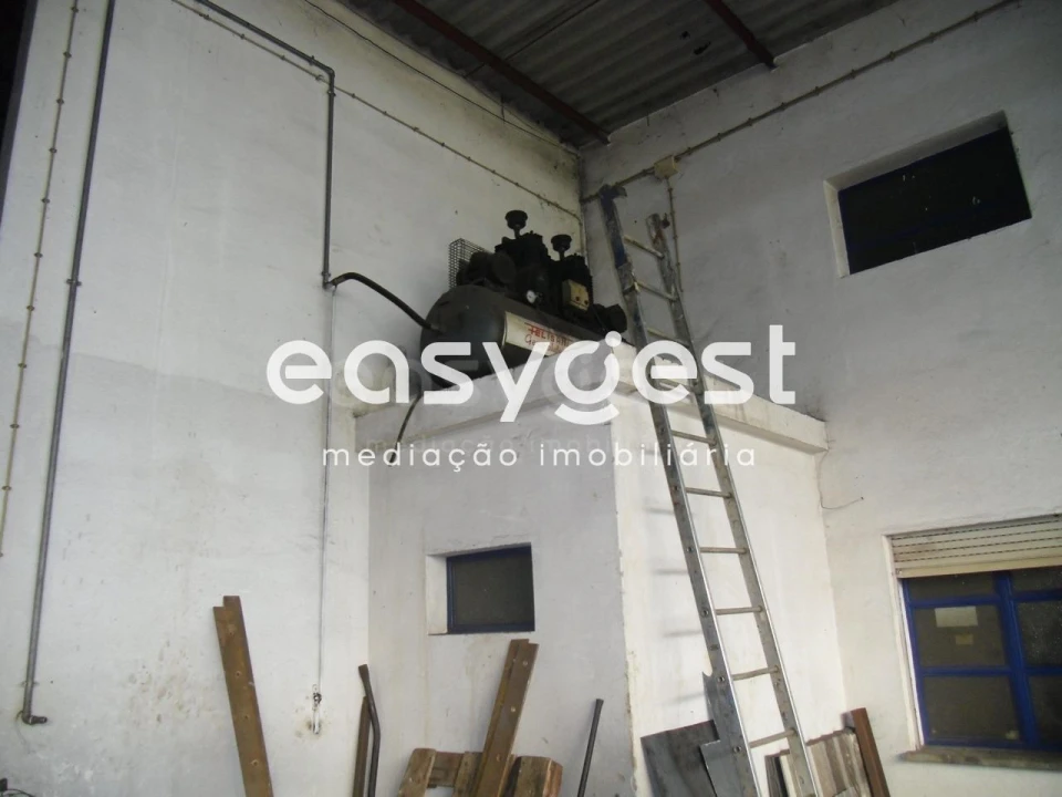 Armazém para Venda em Cabeça Gorda Foto 14