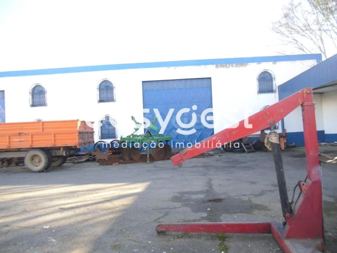 Armazém para Venda em Cabeça Gorda Foto 5