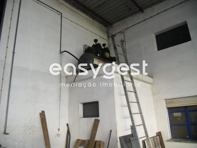 Armazém para Venda em Cabeça Gorda Foto 14