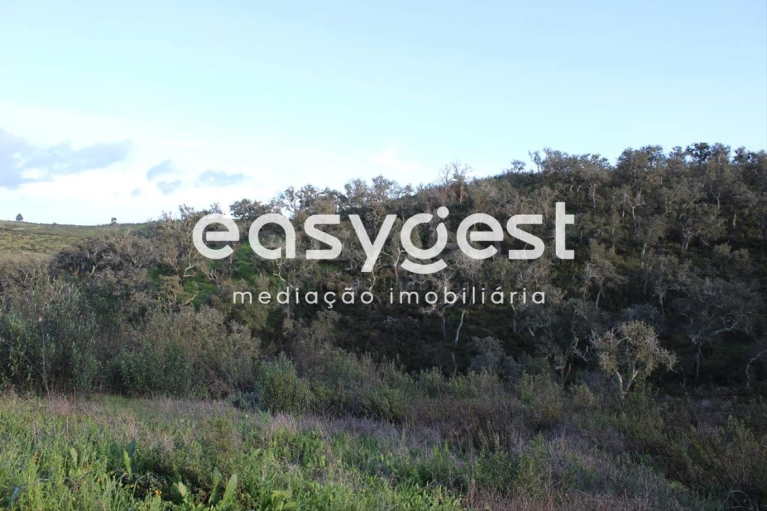 Terreno Agricola ou Rústico para Venda em Santa Clara-A-Nova e Gomes Aires Foto 9