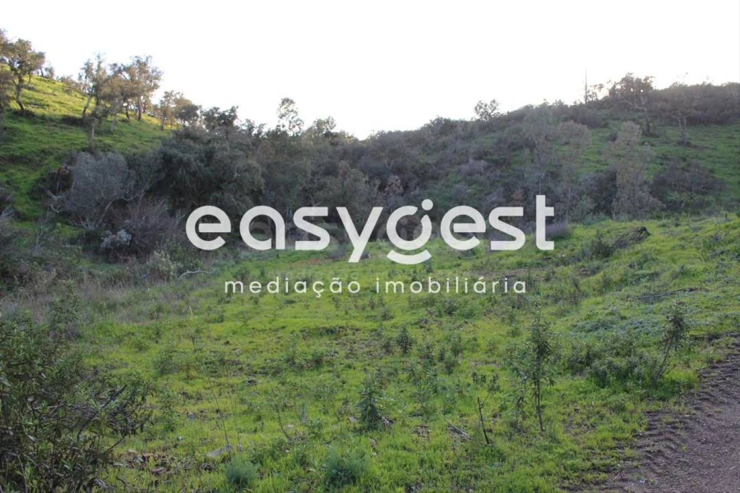 Terreno Agricola ou Rústico para Venda em Santa Clara-A-Nova e Gomes Aires Foto 12