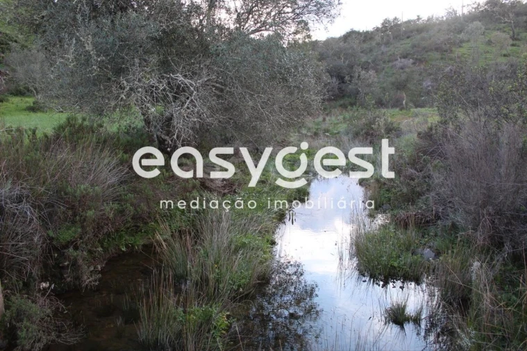 Terreno Agricola ou Rústico para Venda em Santa Clara-A-Nova e Gomes Aires Foto 3