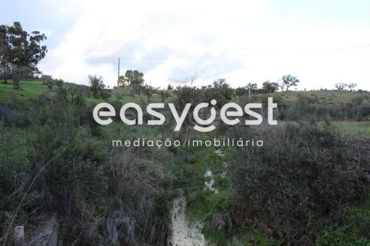 Terreno Agricola ou Rústico para Venda em Santa Clara-A-Nova e Gomes Aires Foto 4