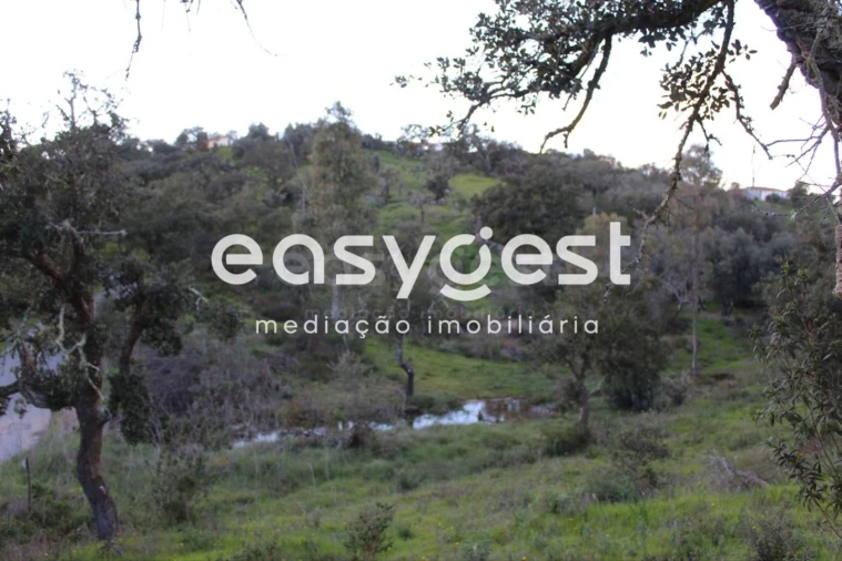 Terreno Agricola ou Rústico para Venda em Santa Clara-A-Nova e Gomes Aires Foto 5